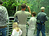 Jordan, Ken, and Tyler on the ramp in the rainforest exhibit