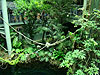 Looking down at the rainforest exhibit