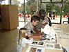 Jordan, Tyler, and Ken looking at an owl pellet