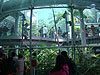 The rainforest exhibit