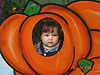 Jordan as a pumpkin