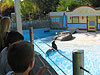 Tyler and Dakota looking at the seals