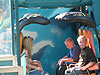 Tanya and Tyler on Hanmerhead
