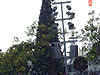 The California Adventure park Christmas tree