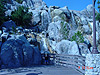 Tyler in front of a waterfall in Disney's California Adventure