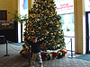 Tyler in front of the Christmas tree in the lobby