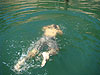 Tyler swimming underwater