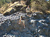 Jordan and Tyler climbing on a rock