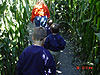 Starting to go through the corn maze