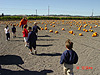 The kids running out to pick out their pumpkins