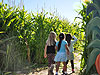 Jordan, Marissa, and Sierra in the corn maze