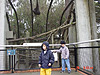 Destry and Tyler in front of the monkey habitat