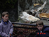 Tyler and Destry in front of the polar bear habitat