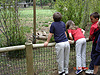 Tyler and Haley looking at some cheetahs