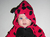 Jordan in her ladybug costume