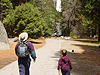 Ken and Tyler on the way to Lower Yosemite Falls