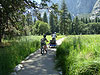Ken, Jordan, and Tyler on a bike ride in Yosemite Valley