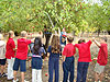 Tyler's class shaking apples off of the tree