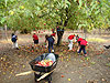 The kids picking apples