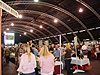 The Harvest Fair